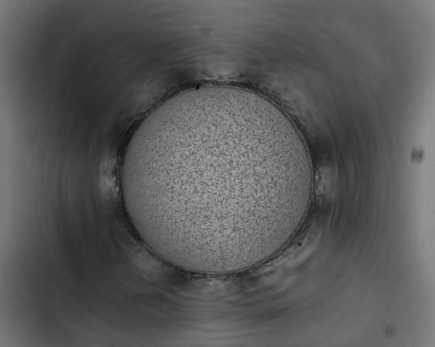 X0000103961202200809261803