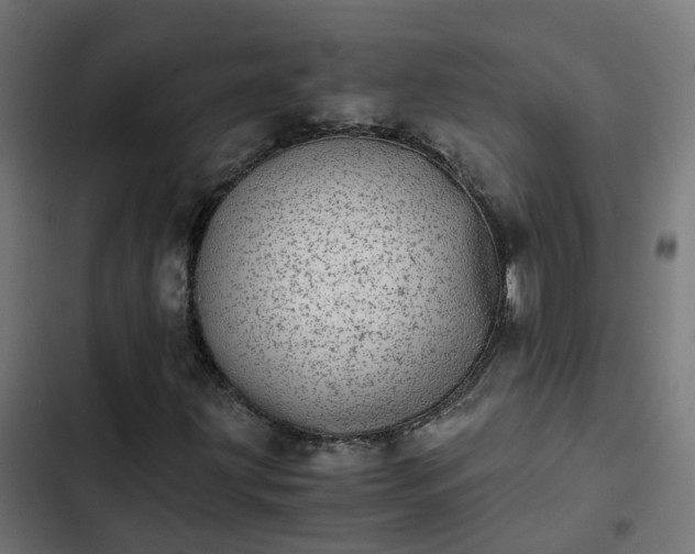 X0000103961203200809261803