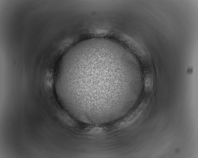 X0000103961204200809261803