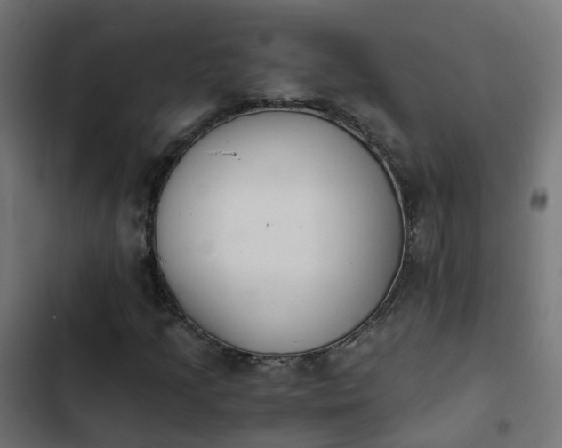 X0000103961205200809261803