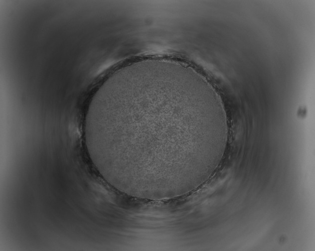 X0000103961206200809261803