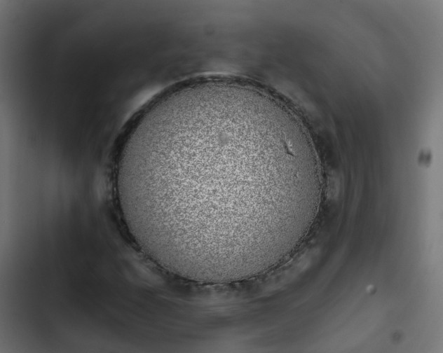 X0000103961208200809261803