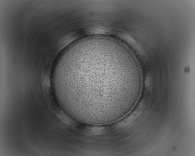 X0000103961209200809261803