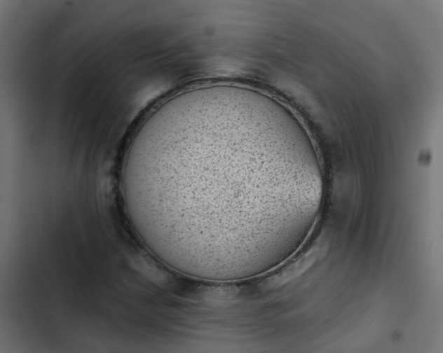 X0000103961210200809261803