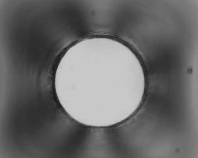 X0000103961211200809261803