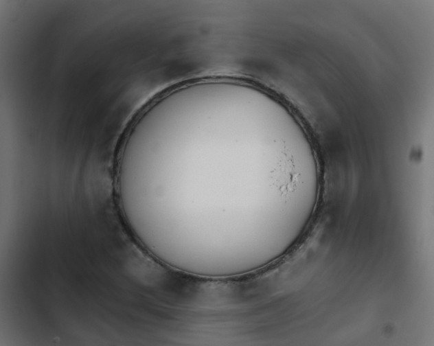 X0000103961212200809261803