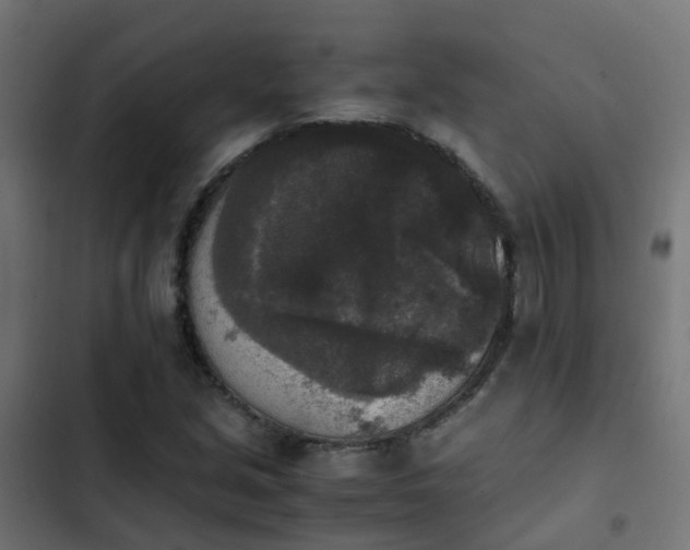 X0000103961213200809261803