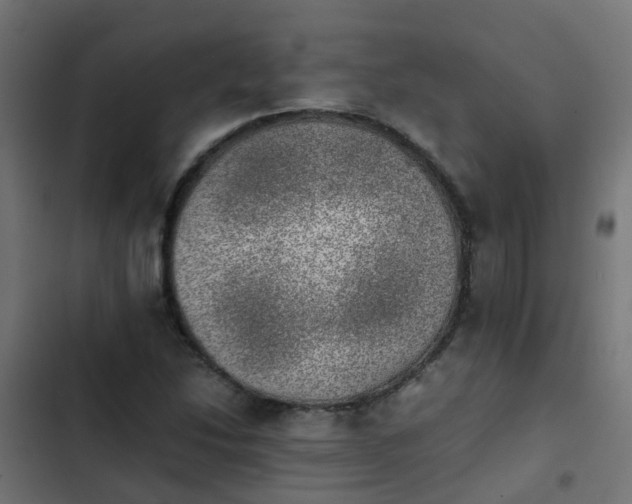 X0000103961214200809261803