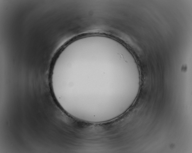 X0000103961216200809261803