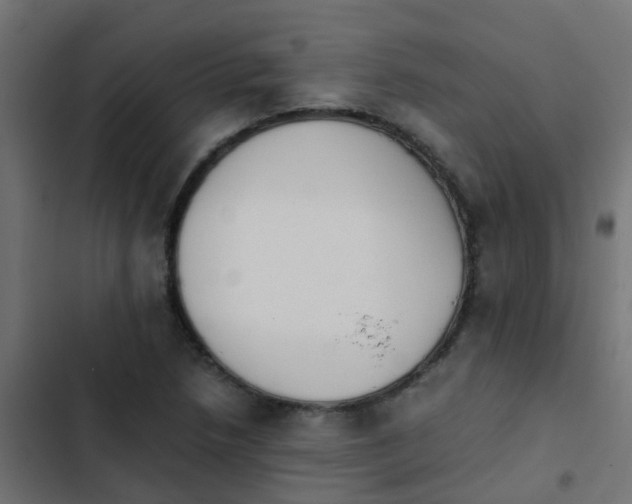 X0000103961218200809261803