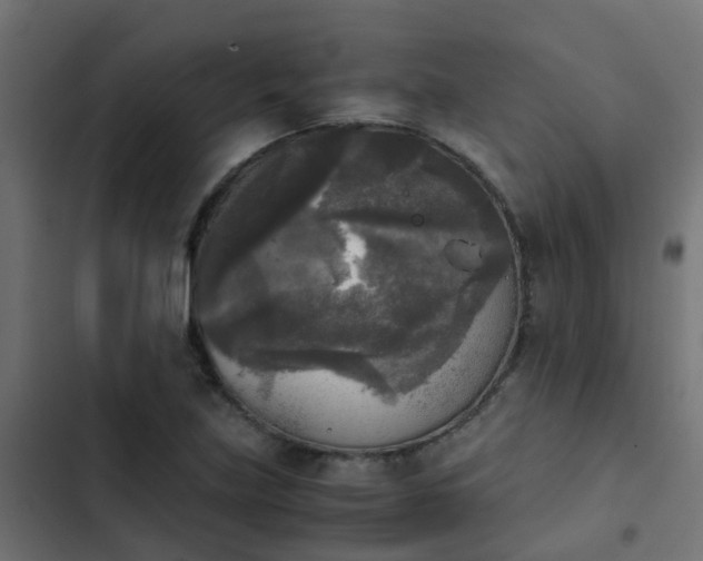 X0000103961219200809261803