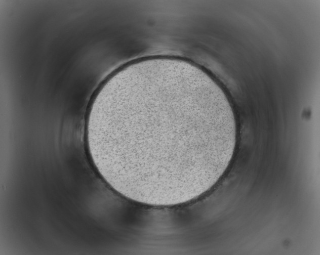 X0000103961220200809261803