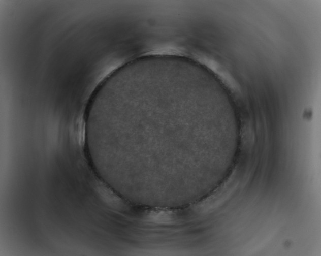X0000103961221200809261803