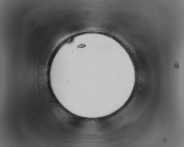 X0000103961222200809261803