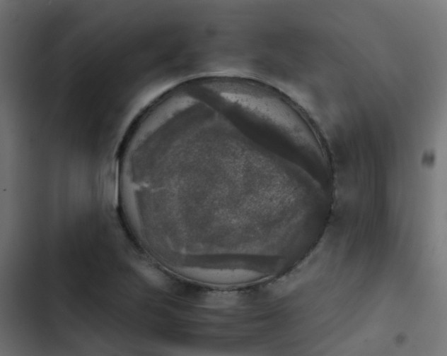 X0000103961223200809261803