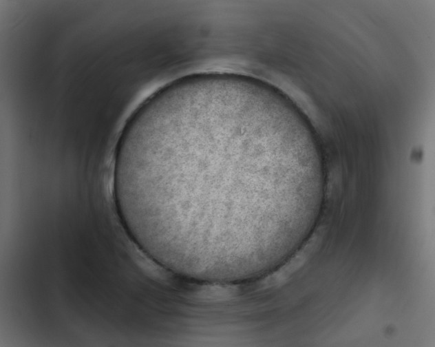 X0000103961224200809261803