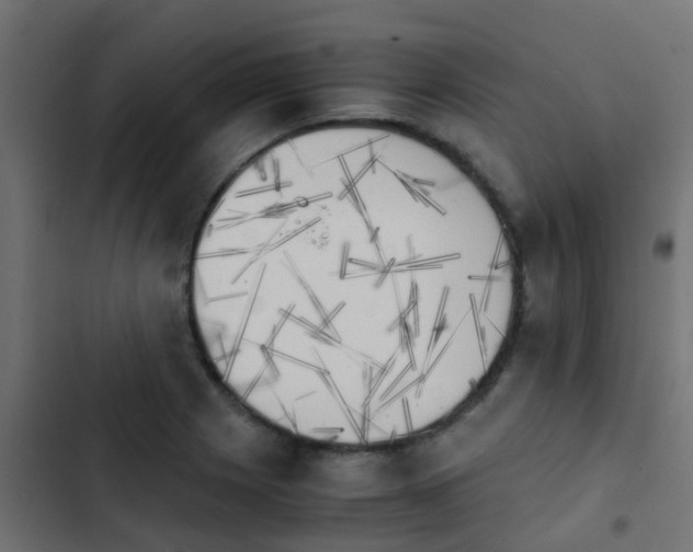 X0000103961225200809261803
