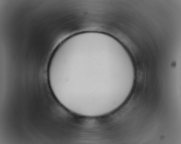 X0000103961230200809261803