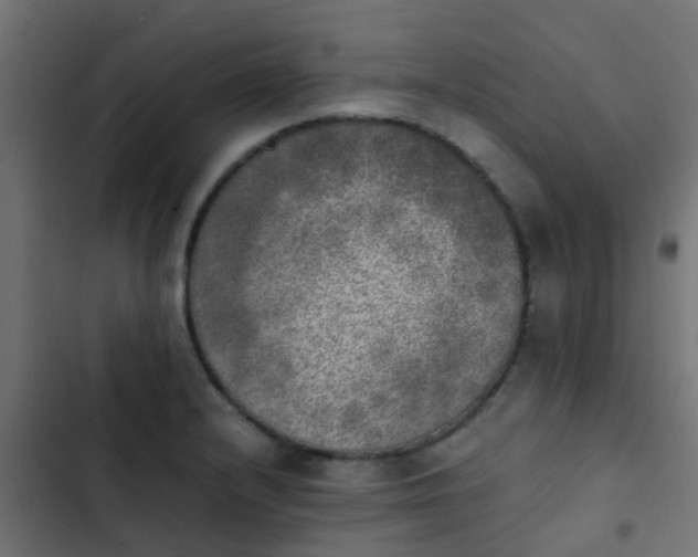 X0000103961232200809261803