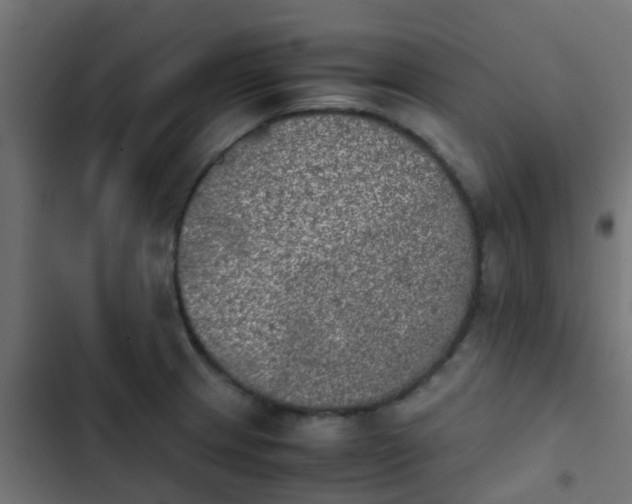 X0000103961233200809261803