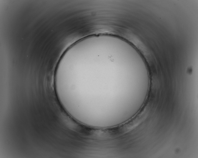 X0000103961234200809261803