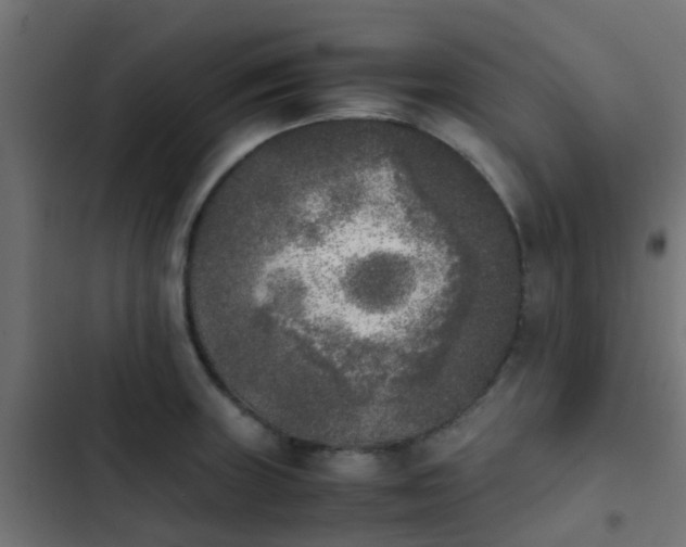 X0000103961235200809261803