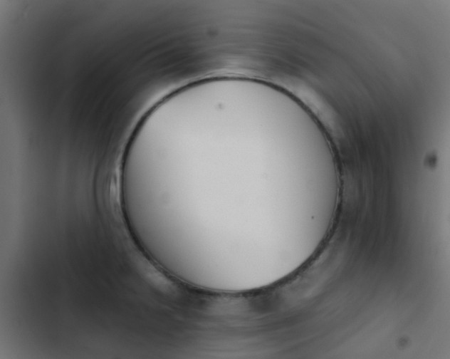 X0000103961238200809261803