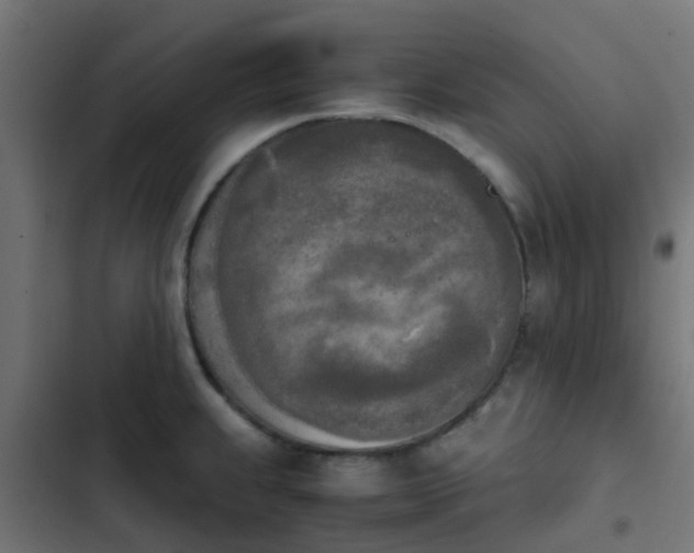 X0000103961239200809261803