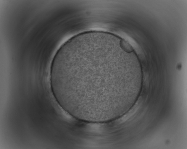 X0000103961240200809261803