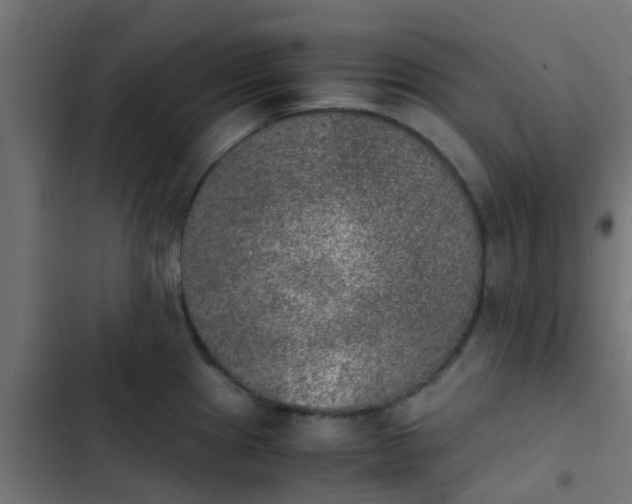 X0000103961241200809261803
