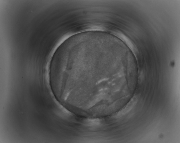 X0000103961243200809261804