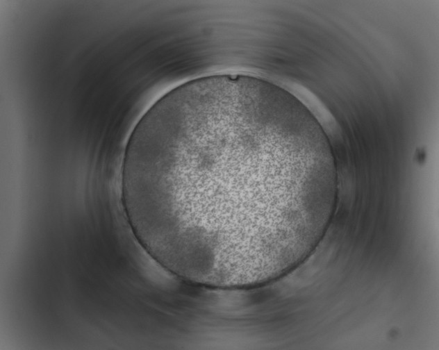X0000103961244200809261804