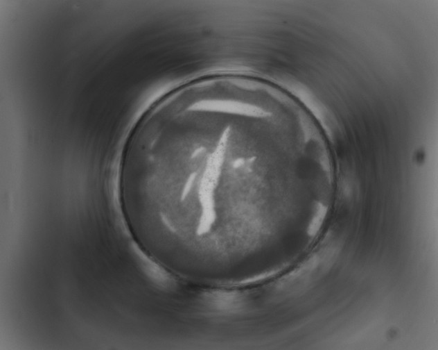 X0000103961245200809261804
