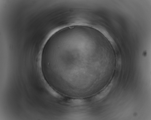 X0000103961246200809261804