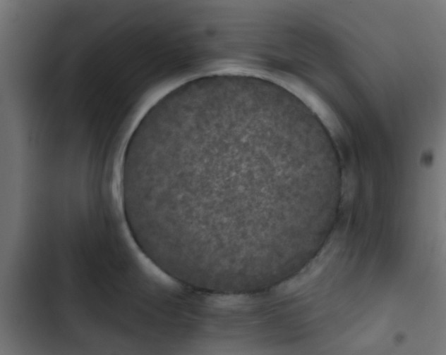 X0000103961247200809261804