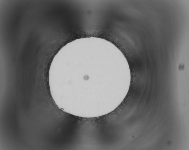 X0000103961249200809261803