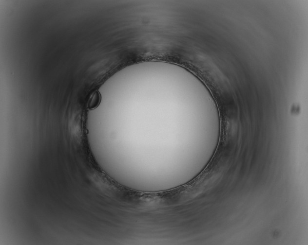 X0000103961250200809261803