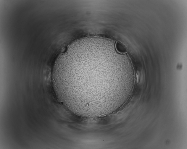 X0000103961251200809261803