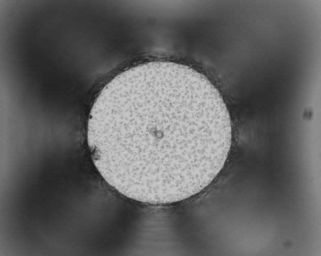 X0000103961253200809261803