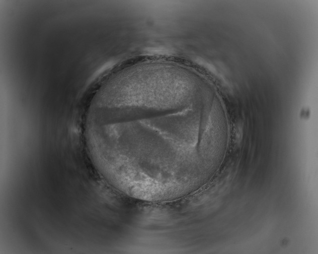 X0000103961254200809261803