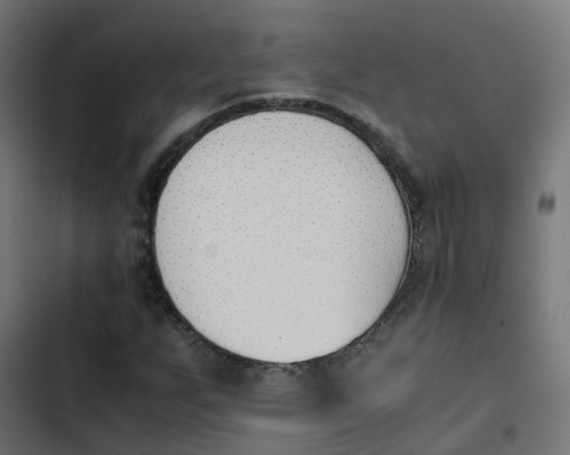 X0000103961255200809261803