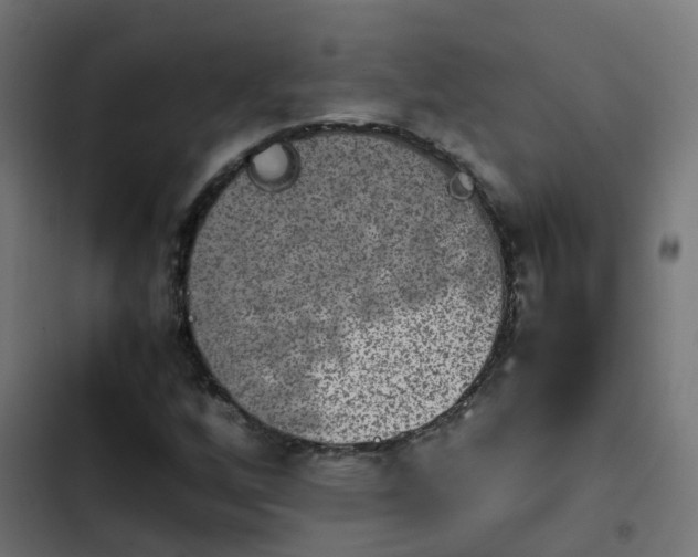 X0000103961256200809261803