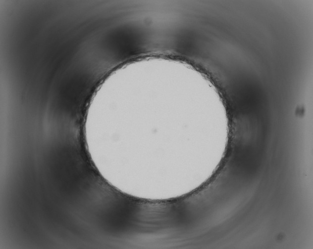 X0000103961257200809261803