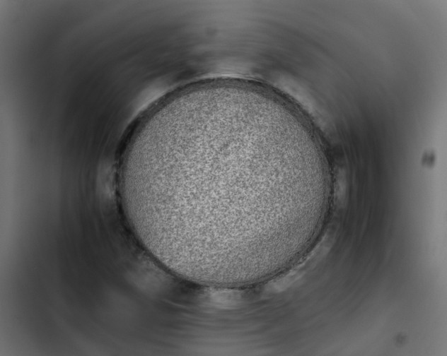 X0000103961258200809261803