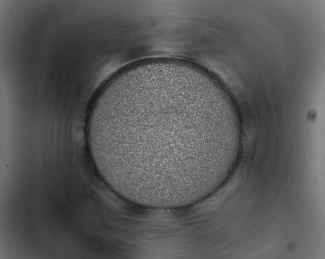 X0000103961259200809261803
