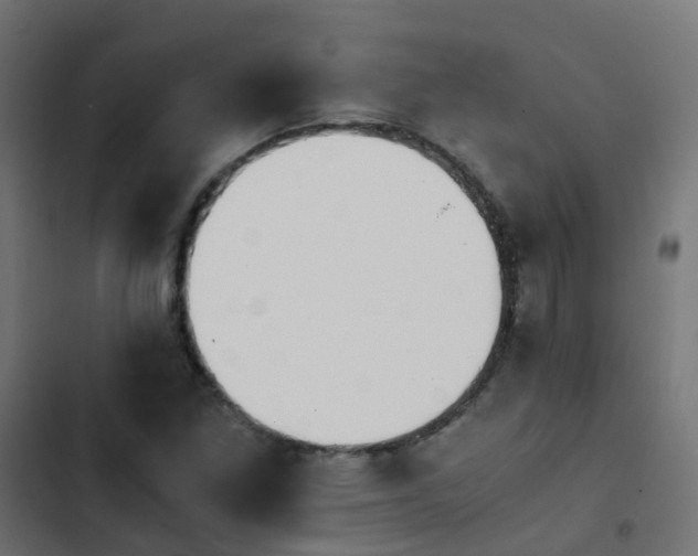 X0000103961261200809261803