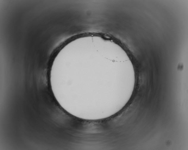 X0000103961262200809261803