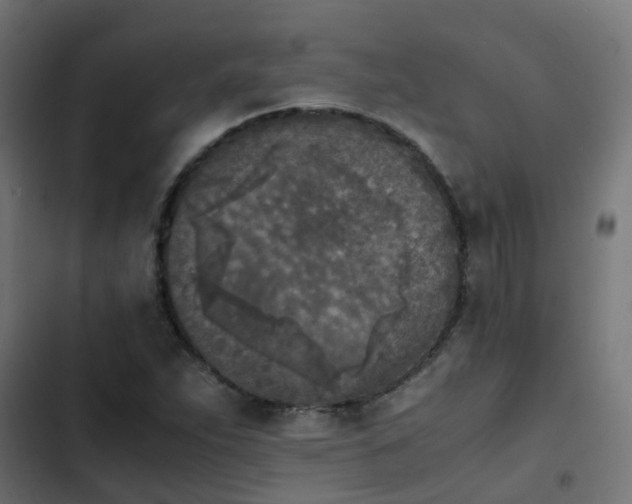 X0000103961263200809261803