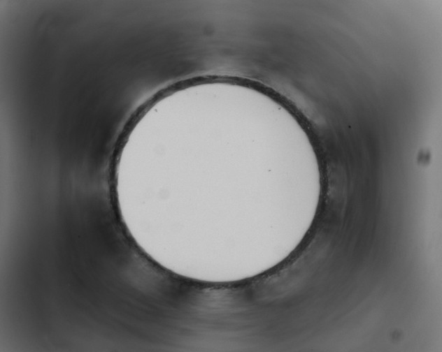 X0000103961264200809261803