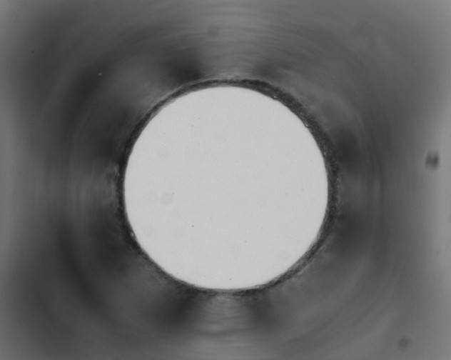 X0000103961265200809261803